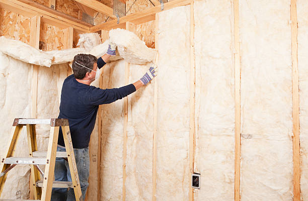 Best Commercial Insulation Services  in Pecan Acres, TX